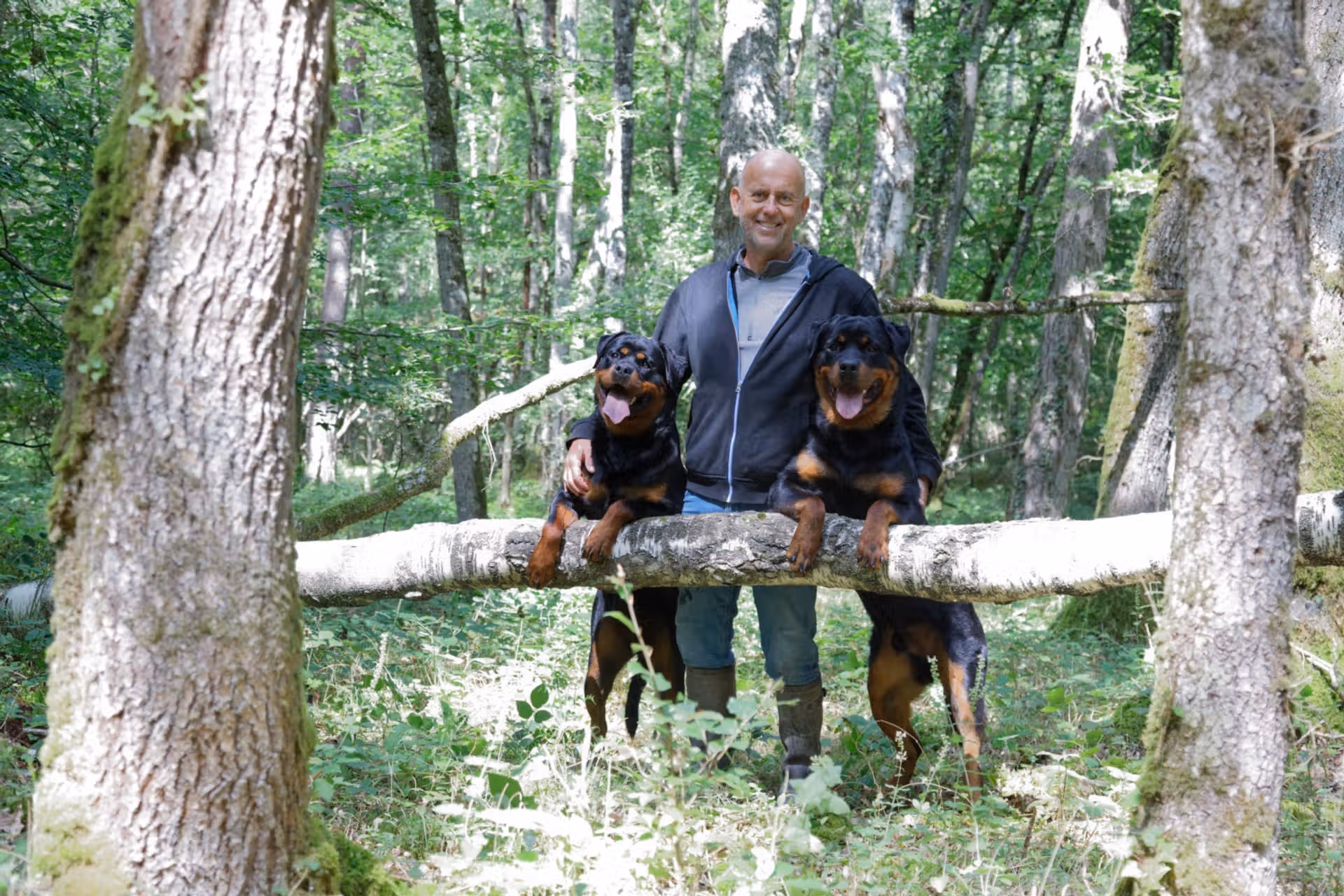 La Vallée des Glaciers - Balade avec nos chiens