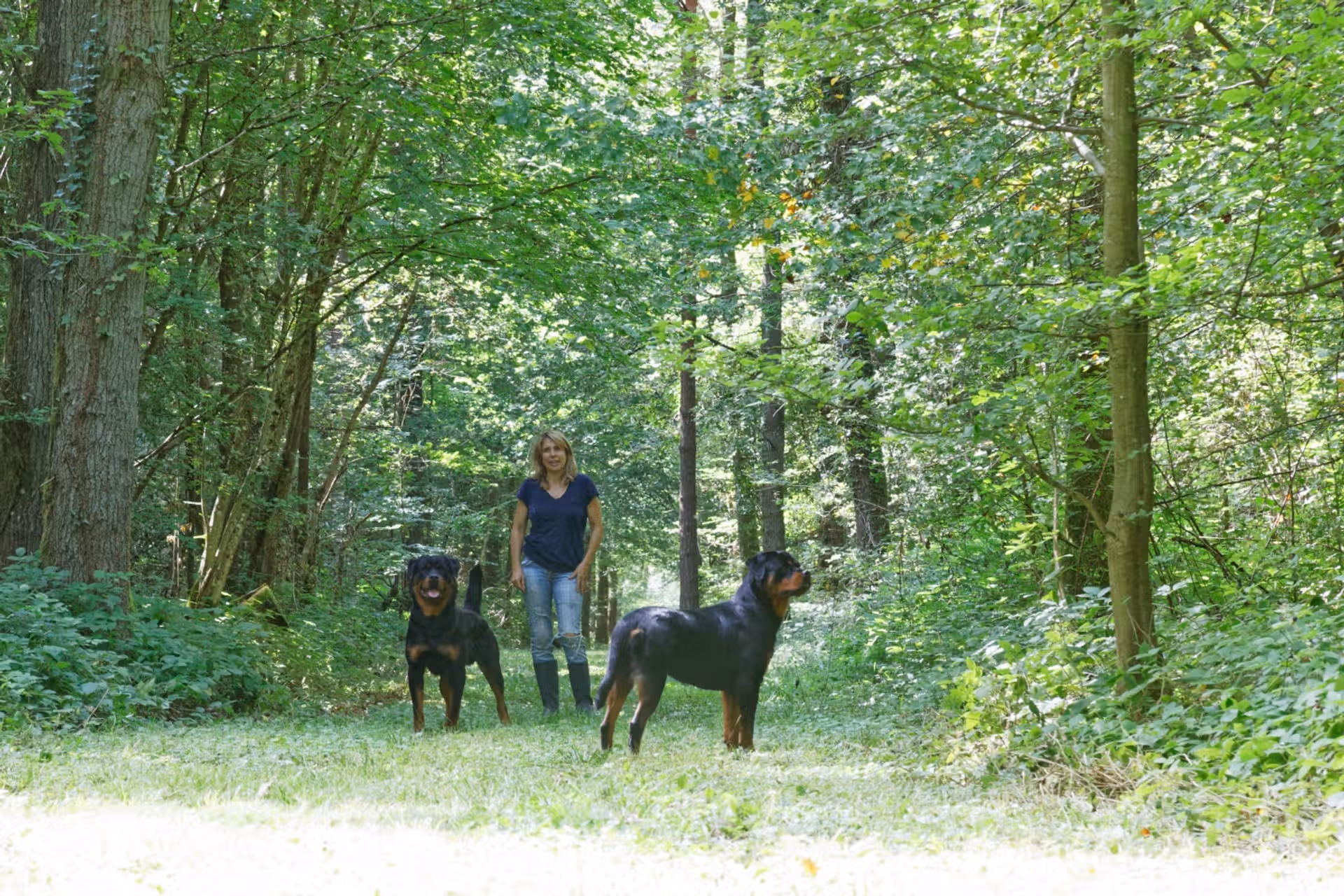 La Vallée des Glaciers - Balade avec nos chiens