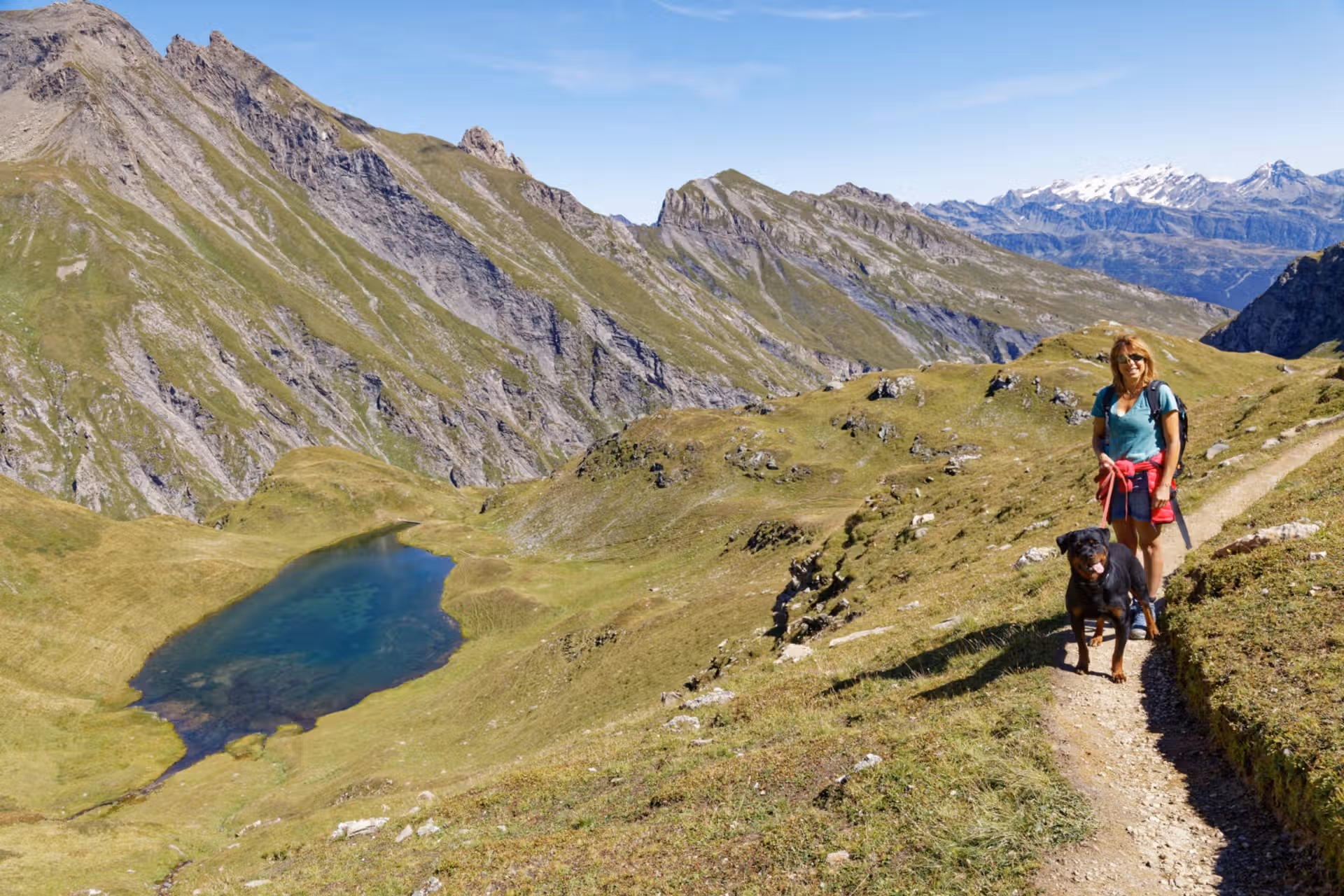 La Vallée des Glaciers - Randonnée en montagne avec nos chiens