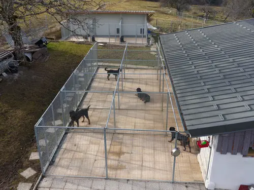 Les chenils, habitat de nos chiens