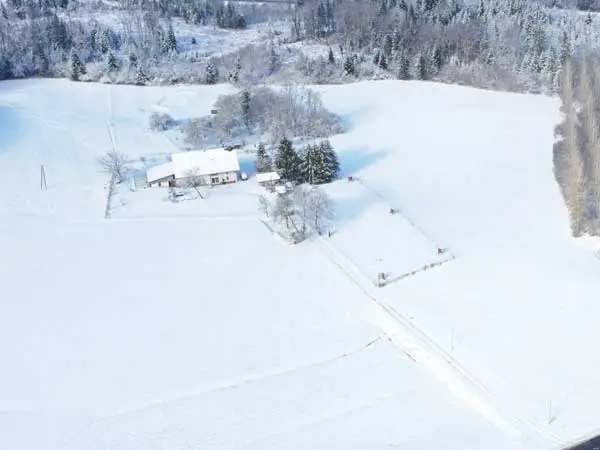 Élevage Rottweilers de la Vallée des Glaciers, sous la neige