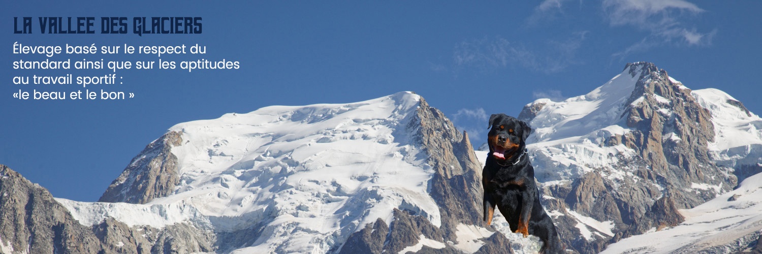 Jedï de la Vallée des Glaciers, face au Mont Blanc