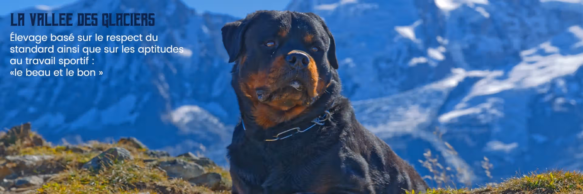 Jedï de la Vallée des Glaciers, face au Mont Blanc