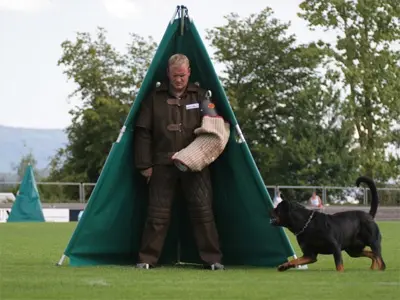 IFR 2007 Rottweiler Découverte