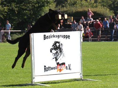 IGP - IFR 2007 Rottweiler saut