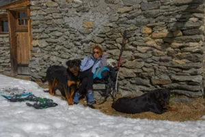 La Vallée des Glaciers - Randonnée en montagne avec nos chiens