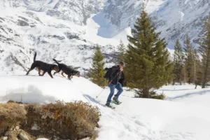 La Vallée des Glaciers - Randonnée en montagne avec nos chiens