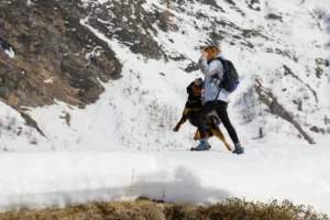 La Vallée des Glaciers - Randonnée en montagne avec nos chiens