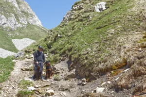 La Vallée des Glaciers - Randonnée en montagne avec nos chiens