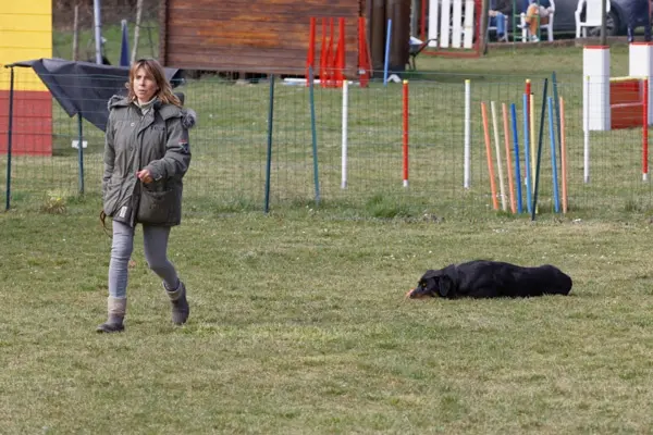 Revenge de la Vallée des glaciers Obéissance