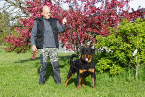 Revenge de la Vallée des glaciers 11 mois