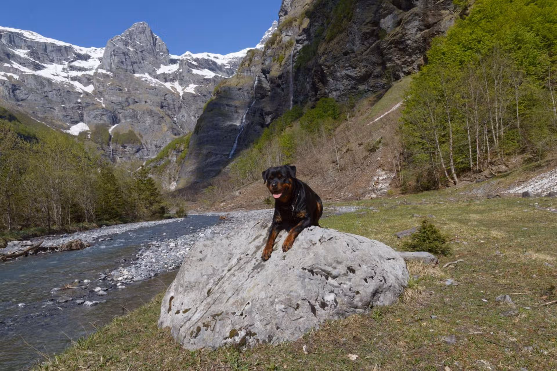 Pipa de la Vallée des Glaciers - 2 ans