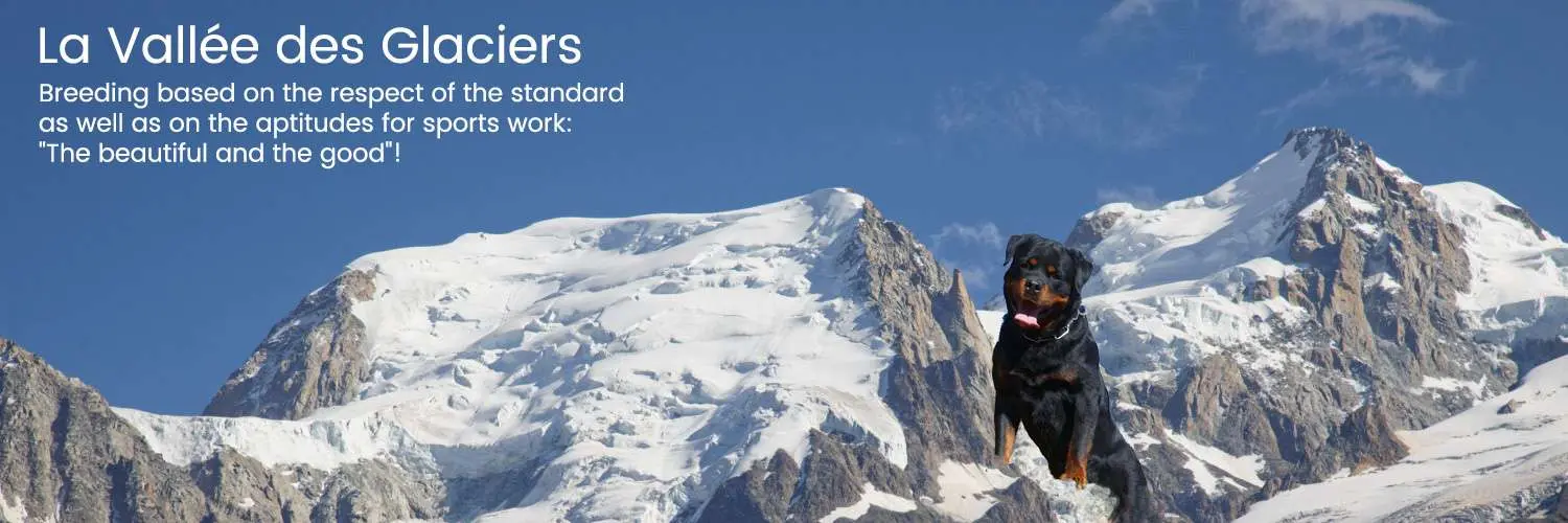 Jedï de la Vallée des Glaciers