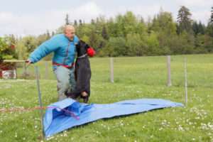 RMazikeen de la Vallée des Glaciers- Mordant