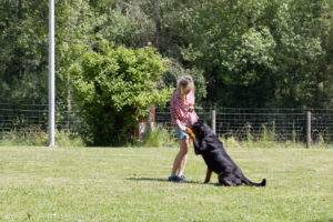 Revenge- Démo Dog dancing