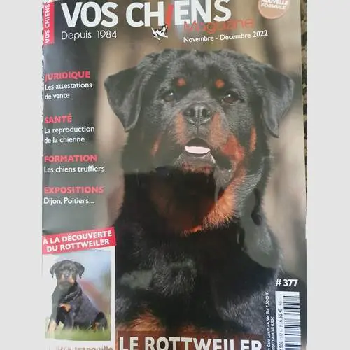 Revue vos chiens - Novembre 2022