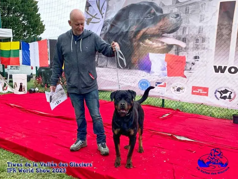 Tiwas lors de l'IFR World Show 2023