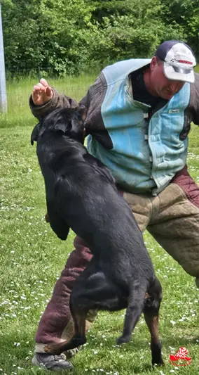Tiwas de la Vallée des Glaciers- 2ans - Attaque de face