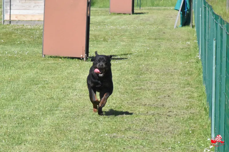 Tiwas de la Vallée des Glaciers- 2ans - Recherche