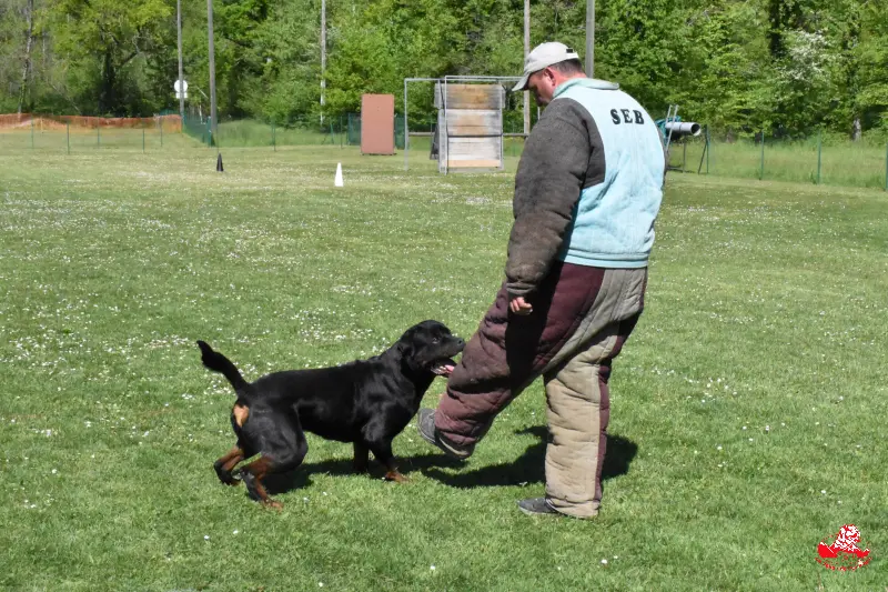 Tiwas de la Vallée des Glaciers- 2ans - Recherche