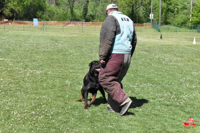 Tiwas de la Vallée des Glaciers- 2ans - Recherche