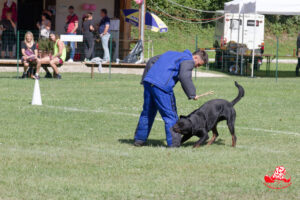 Tiwaz de la Vallée des Glaciers Ring1 Face