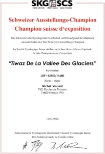 Tiwaz, exposition canine internationale de Genève. - Titre champion.