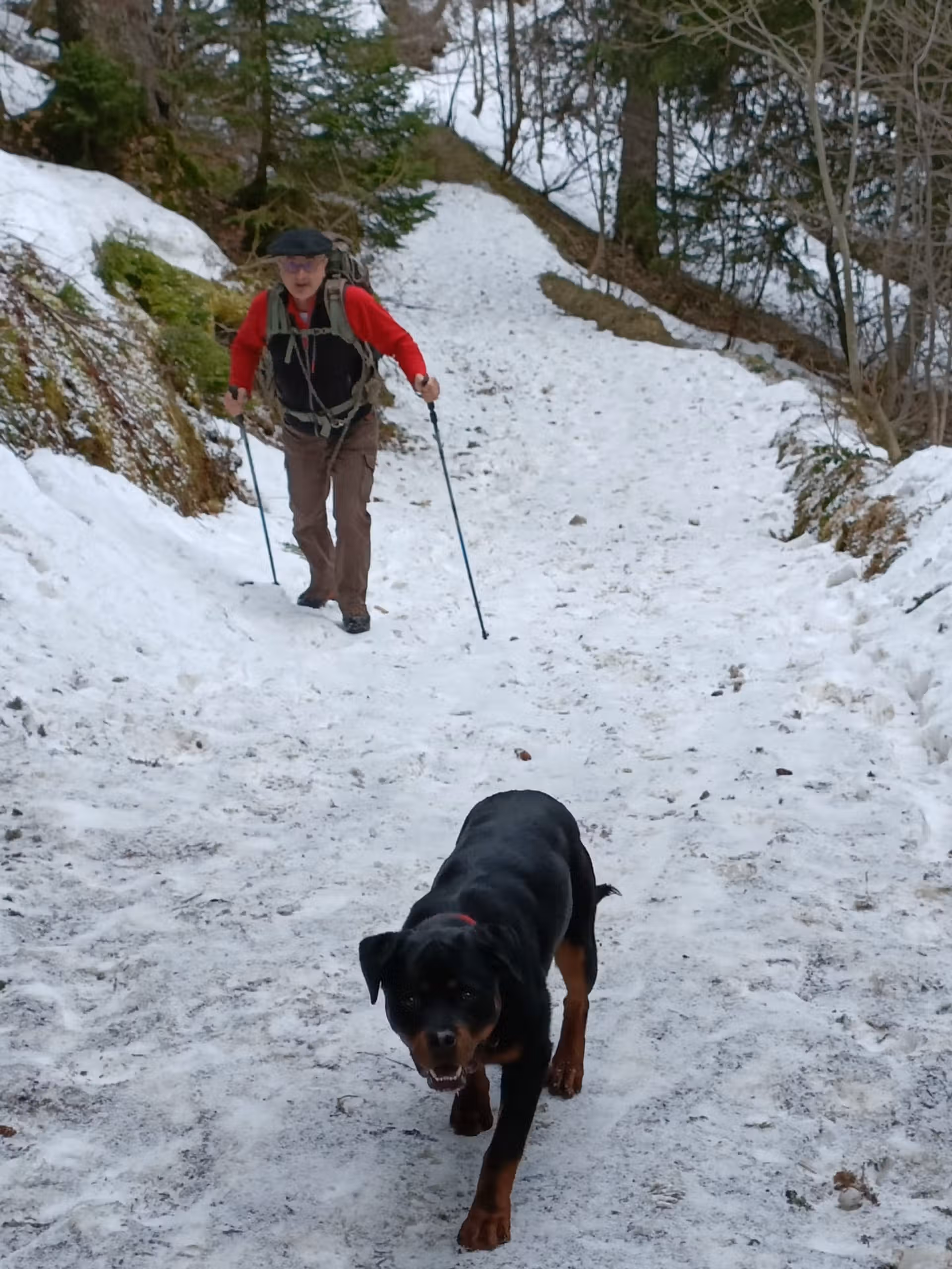 Vito de la Vallée des Glaciers en Balade