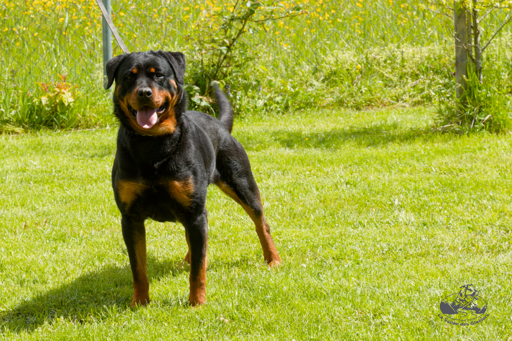 Vince (dite India) à 2 ans