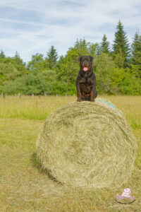 Tiwas prend la pose...