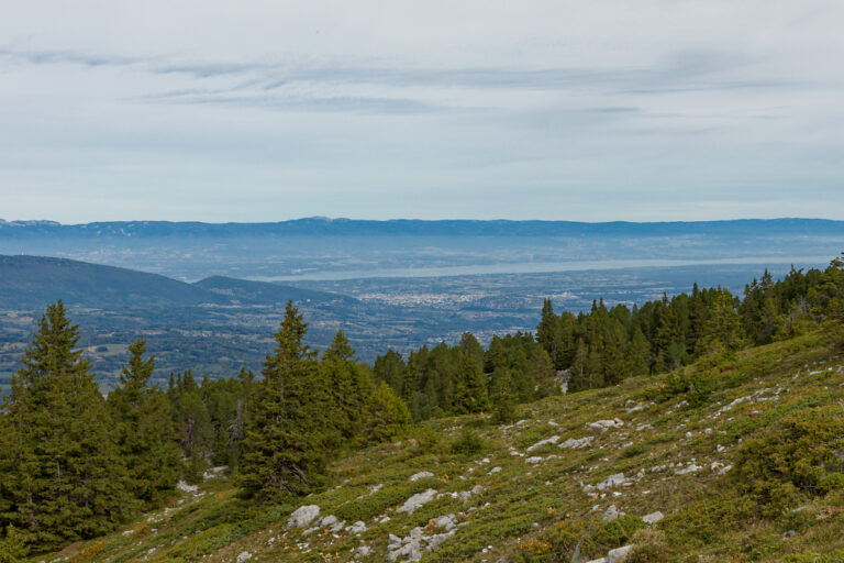 Vue sur le lac Léman