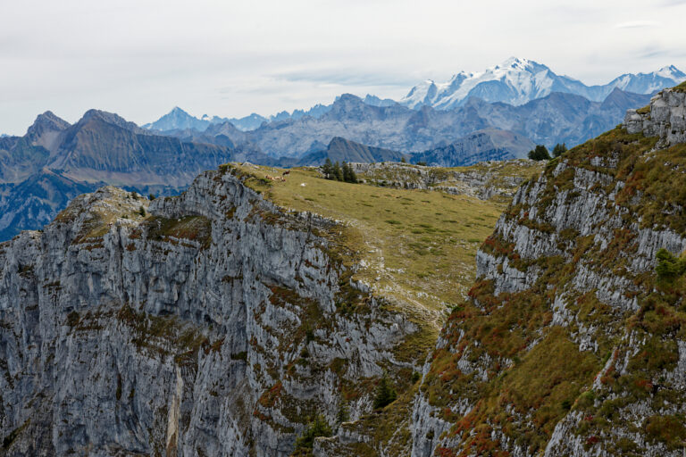 La vue sur le Massif du Mont Blanc