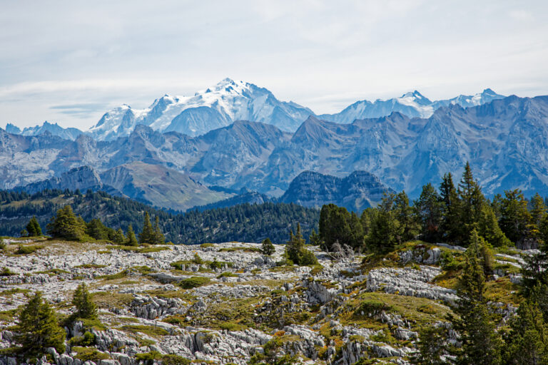 Et pour terminer un dernier regard sur le Mont Blanc.