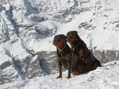 Montagne de Loriaz - Marylou et Chad de La Vallée des Glaciers