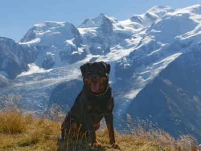 Aiguillette des Houches - Jedï de la Vallée des Glaciers